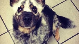 Timeline: Breah P's timeline!