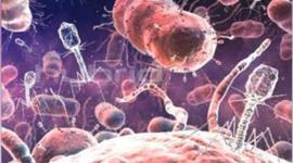 Timeline: History of Microbiology (Williams & Melanson)