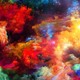Rainbow colors background wallpaper 768x480