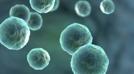 Timeline: Historia del estudio de la célula