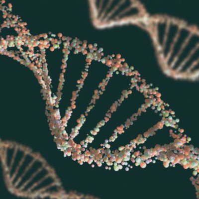 Timeline: Historia de la genética