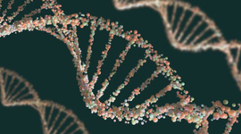 Timeline: Historia de la genética