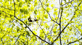 Timeline: El uso de las tics en mi familia