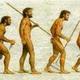 Evolucion