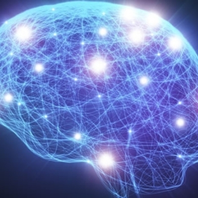 Timeline: La evolución del sistema nervioso