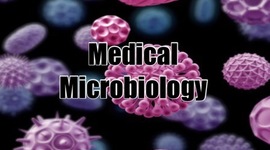 Timeline: History of Microbiology (Makailee, Burr) 2nd