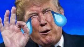 Timeline: landmarks in enviromentalism