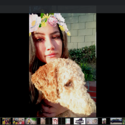 Timeline: Sandra's Life