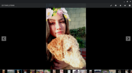 Timeline: Sandra's Life