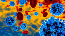 Timeline: History of Microbiology Jennifer Phan 4th