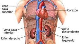 Timeline: etapas distintas