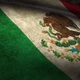 Bandera mexico 2