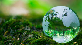 Timeline: LINEA DE TIEMPO DE EDUCACIÓN AMBIENTAL