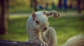 Timeline: un adios aristoteles