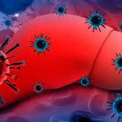 Timeline: HISTORIA DE LA HEPATITIS