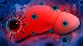 Timeline: HISTORIA DE LA HEPATITIS