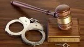 Timeline: Evolución  del Derecho penitenciario en México Daniel Pérez