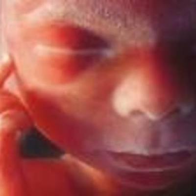 Timeline: Etapas del Desarrollo Humano