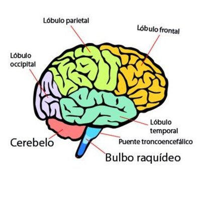 Timeline: Dificultades del Aprendizaje