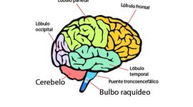 Timeline: Dificultades del Aprendizaje