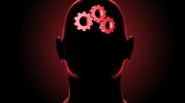 Timeline: Conductismo