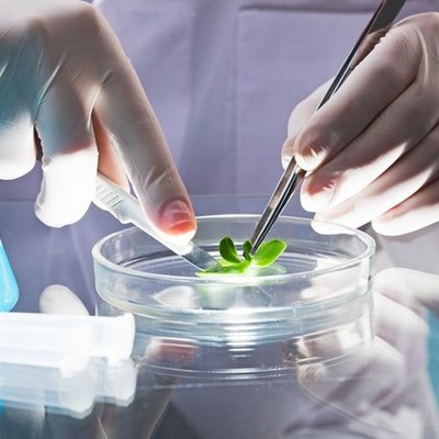 Timeline: Historia de la biotecnología y bioingeniería