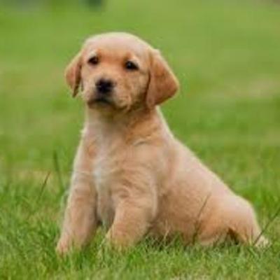 Timeline: La linea de tiempo de las computadora