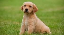 Timeline: La linea de tiempo de las computadora