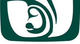 Timeline: Historia del Seguro Social en México