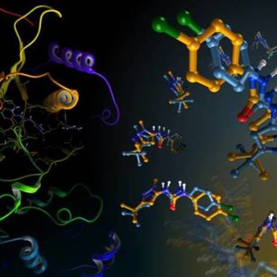 Timeline: Teoría Físicoquímica