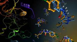 Timeline: Teoría Físicoquímica