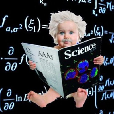 Timeline: PROGRAMA INVESTIGACIÓN CUANTITATIVA