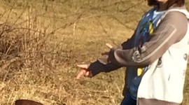 Timeline: Clarice Delles' Timeline