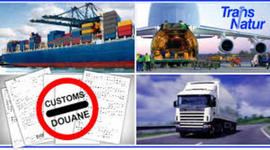 Timeline: Antecedentes derecho aduanero