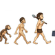 Evolucion