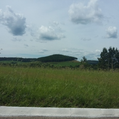 Timeline: Un corto viaje en la historia de la ecología