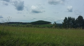 Timeline: Un corto viaje en la historia de la ecología