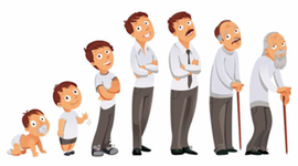 Timeline: DESARROLLO MOTOR : ejecución de variedad de habilidades motrices