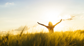 Timeline: Linea de Tiempo