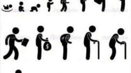 Timeline: Mi linea de tiempo