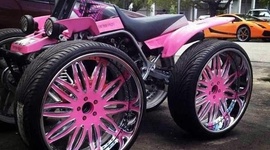 Timeline: Eringer timeline