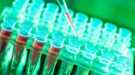 Timeline: Avance científico