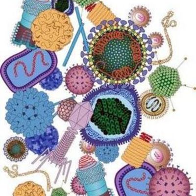 Timeline: Antecedentes históricos de la Microbiología Sanitaria y la protección de alimentos