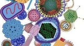 Timeline: Antecedentes históricos de la Microbiología Sanitaria y la protección de alimentos