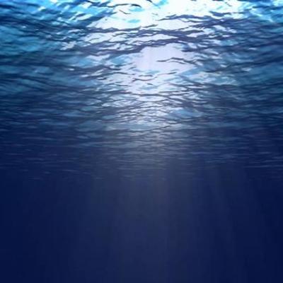 Timeline: Marine Biology- Ocean Explorers Timeline