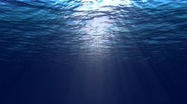 Timeline: Marine Biology- Ocean Explorers Timeline