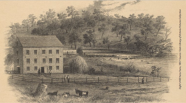 Timeline: Dights Falls