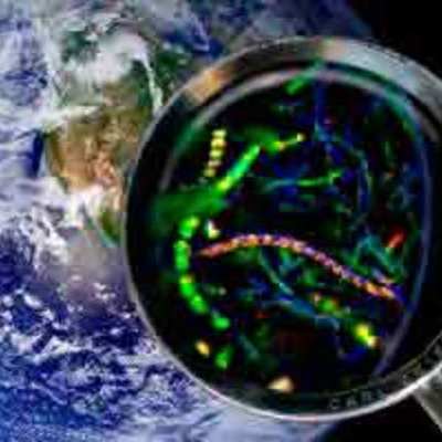 Timeline: Historia de la Microbiología - Felipe Szywdloski Lagos Cod: 1057573309 Cead Sogamoso