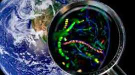 Timeline: Historia de la Microbiología - Felipe Szywdloski Lagos Cod: 1057573309 Cead Sogamoso