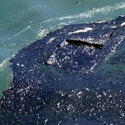 Timeline: Conflictos Ambientales Amenazan la Salud de la Población y la Biodiversidad del Planeta